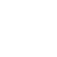 voice-mic